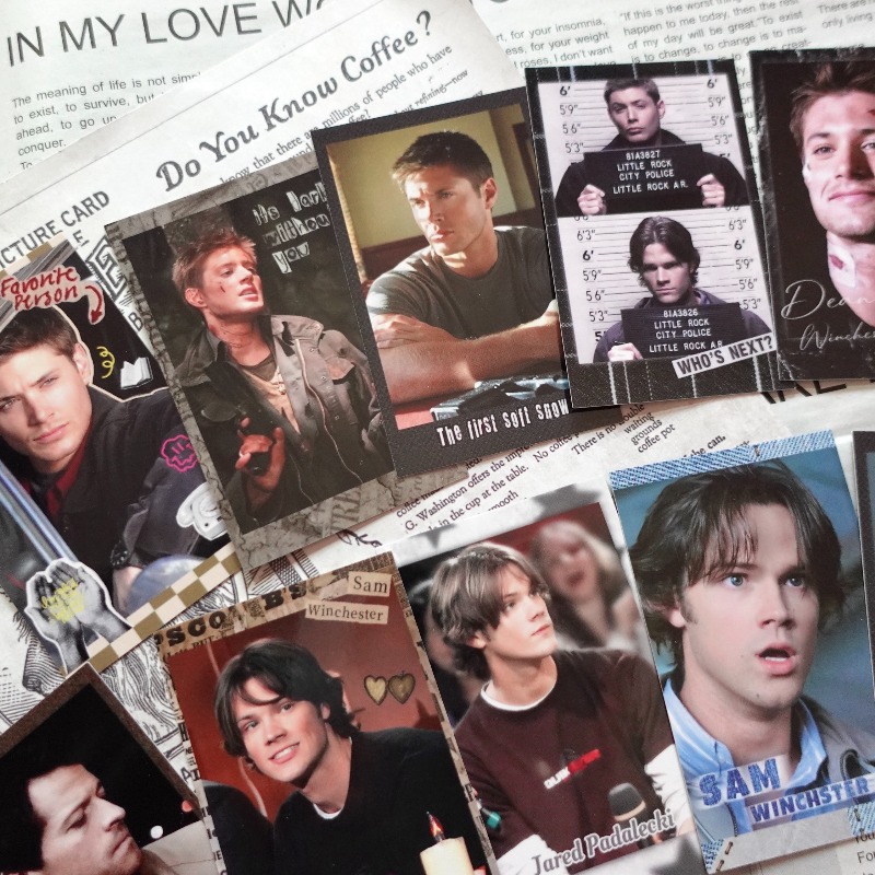 Supernatural SPN Dean & Sam Vi - Vintage Collectible Show 评论和价格